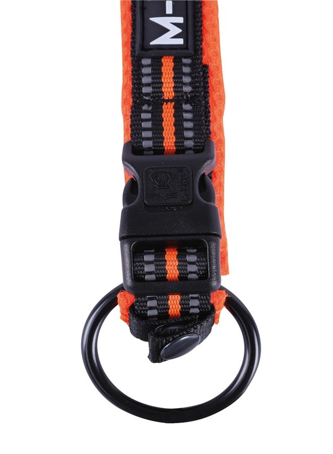 أم-بيتس طوق M-PETS الناعم للكلاب، مناسب للمشي لمسافات طويلة، مبطن بشبكة هوائية تسمح بالتهوية، مزود بشريطين عاكسين مزدوجين لمزيد من الأمان، يقلل من الإجهاد أثناء الشد، سريع الجفاف، مزود بإبزيم وحلقة متينة، مقاس رقبة قابل للتعديل من 30 إلى 40 سم، صغير - Image 2